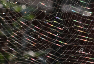 Photographie intitulée "Spiders Web" par Tina Lane, Œuvre d'art originale