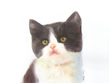 Painting titled "Cat Portrait Commis…" by Tina Zhou, Original Artwork, Watercolor