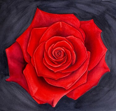 Painting titled "Red rose on a black…" by Tina Shyfruk, Original Artwork, Watercolor
