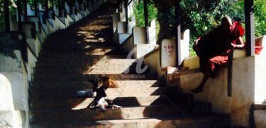 Photographie intitulée "The stairs" par Tina M. De Montorge, Œuvre d'art originale