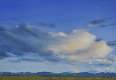 Painting titled "DESERT WINTERSCAPE" by Tina Bluefield, Original Artwork, Oil