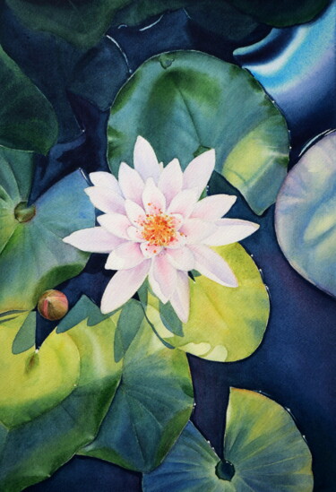 Painting titled "Waterlily - Nénuphar" by Tiny Pochi, Original Artwork, Watercolor