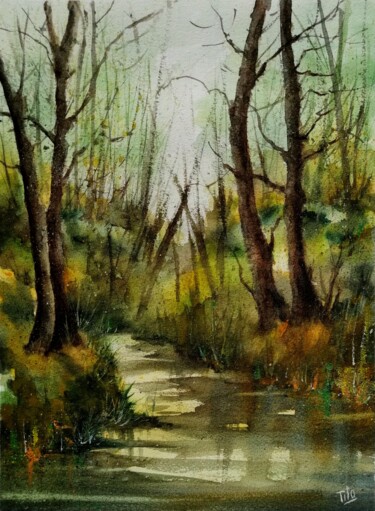 Pintura intitulada "Un bosco" por Tito Fornasiero, Obras de arte originais, Aquarela