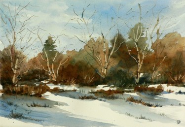 Painting titled "Inverno al Parco de…" by Tito Fornasiero, Original Artwork, Watercolor