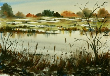 Painting titled "Parco delle Groane" by Tito Fornasiero, Original Artwork, Watercolor