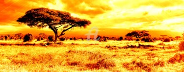 Digital Arts titled "Afrique savane." by Tito Villa, Original Artwork, Digital Painting