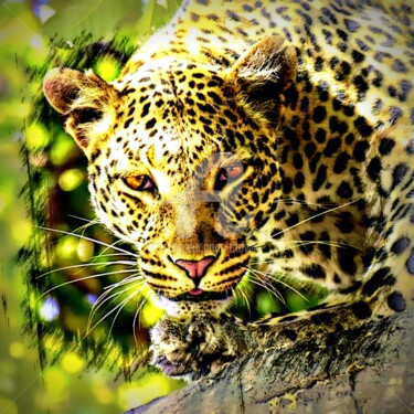 Digital Arts titled "Leopard." by Tito Villa, Original Artwork, Digital Painting