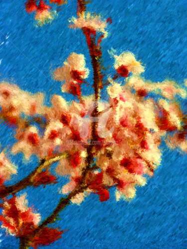 Digitale Kunst mit dem Titel "Fleur de cerisier." von Tito Villa, Original-Kunstwerk, Digitale Malerei