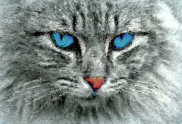 Arte digitale intitolato "Le chat. The cat." da Tito Villa, Opera d'arte originale, Pittura digitale