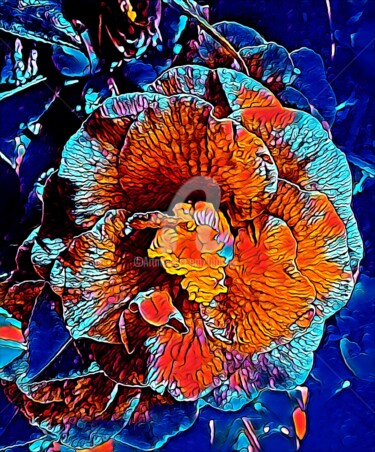 Digital Arts titled "Theaceae Camelia bl…" by Tito Villa, Original Artwork, Digital Painting