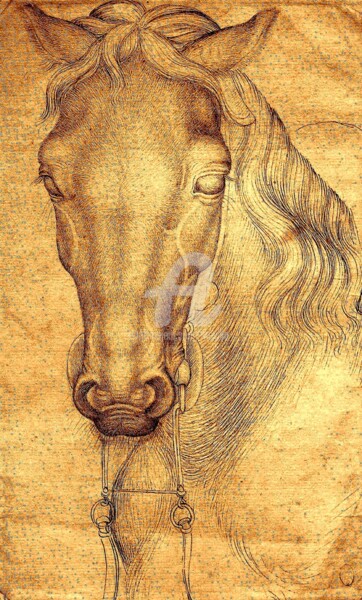 Arts numériques intitulée "The Head of a Horse." par Tito Villa, Œuvre d'art originale, Graphite