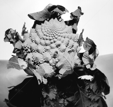 Fotografía titulada "Choux Romanesco." por Tito Villa, Obra de arte original