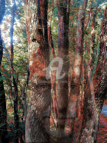Fotografia intitolato "Esprit de la forêt." da Tito Villa, Opera d'arte originale, Fotografia digitale