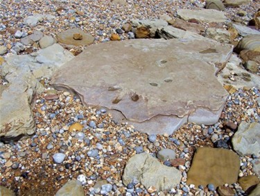 Photography titled "Footprints In stone…" by Mick Bean, Original Artwork