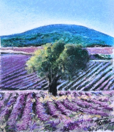 Painting titled "Valensole" by Toine, Original Artwork, Oil