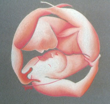 Drawing titled "Volupté fushia ou L…" by Toine, Original Artwork, Pastel