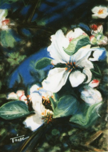 Peinture intitulée "Fleurs de pommier" par Toine, Œuvre d'art originale, Huile