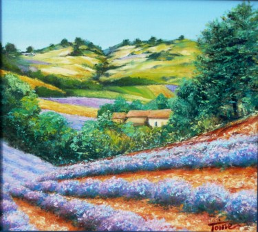 Pintura intitulada "La Provence de Giono" por Toine, Obras de arte originais, Óleo