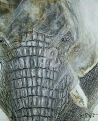 Painting titled "Eléphant" by Tol Dana, Original Artwork, Acrylic Mounted on Wood Stretcher frame