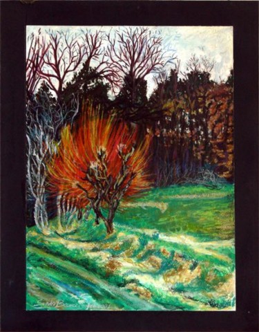 Painting titled "BOSCO DI TAVARNELLE" by Tolemaios, Original Artwork, Other
