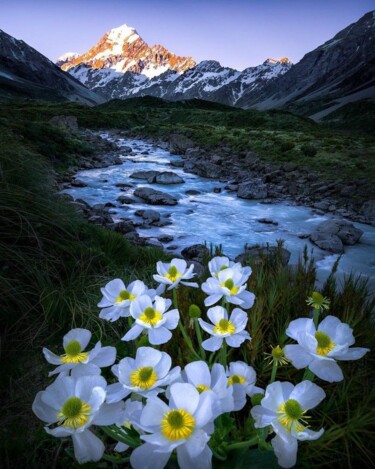 Landscape photo of Mount Denali of Photographer Tom Thompson Photographie intitulée "Landscape photo of…" par Tom Thompson, Œuvre d'art originale, Photographie numérique
