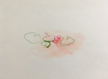 Dibujo titulada "Water Lily Sketching" por Tomas Mudra, Obra de arte original, Pastel