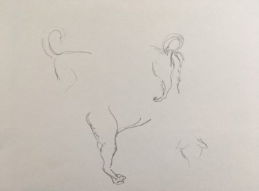 Desenho intitulada "Dog Sketches" por Tomas Mudra, Obras de arte originais, Lápis