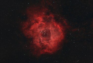 Photographie intitulée "Rosette in red" par Tomaž Vrabelj, Œuvre d'art originale, Photographie numérique