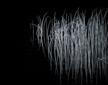 Photography titled "Reeds in Blackness" by Tom Reynen, Original Artwork
