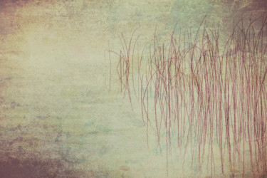 Photography titled "Rusty Reeds" by Tom Reynen, Original Artwork