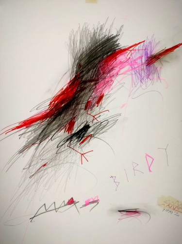 Peinture intitulée "BIRDY" par Tom Sipas, Œuvre d'art originale, Graphite