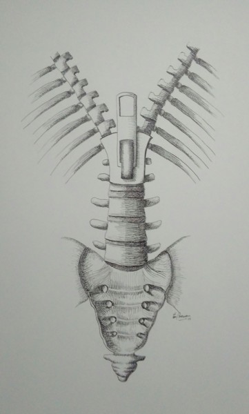 Tekening getiteld "zipperback.jpg" door Ton Brouwer, Origineel Kunstwerk, Inkt