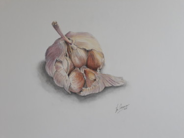 Painting titled "Garlic" by Ton Brouwer, Original Artwork, Watercolor