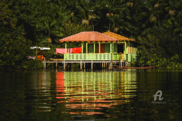 Fotografia intitulada "Natureza Espelhada" por Toninho Castro, Obras de arte originais, Fotografia digital