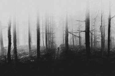Malarstwo zatytułowany „Misty Forest” autorstwa Tony Rubino, Oryginalna praca, Akryl Zamontowany na Drewniana rama noszy