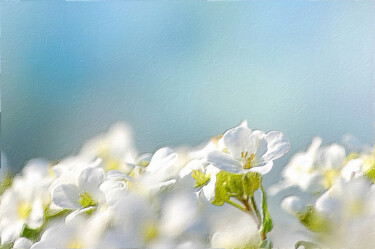 Картина под названием "Flowers In Field Fl…" - Tony Rubino, Подлинное произведение искусства, Акрил Установлен на Деревянная…