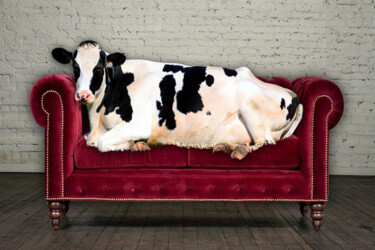 Painting titled "Couch Cow" by Tony Rubino, Original Artwork, Acrylic Mounted on Wood Stretcher frame