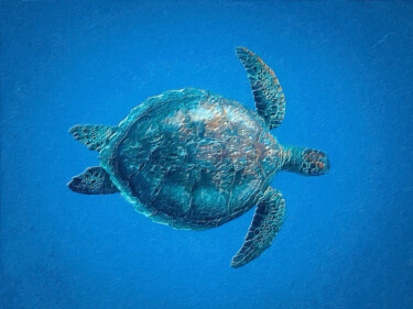 제목이 "Sea Turtle"인 미술작품 Tony Rubino로, 원작, 아크릴 나무 들것 프레임에 장착됨