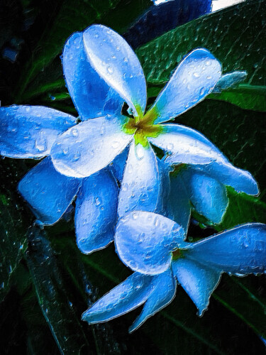 Pintura intitulada "Tropical Blue Flowe…" por Tony Rubino, Obras de arte originais, Acrílico Montado em Armação em madeira