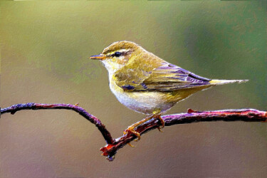 Malarstwo zatytułowany „Finch Bird On Branc…” autorstwa Tony Rubino, Oryginalna praca, Akryl Zamontowany na Drewniana rama n…