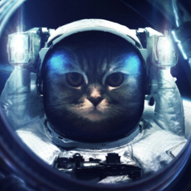 Ζωγραφική με τίτλο "Cat at spacewalk Co…" από Tony Rubino, Αυθεντικά έργα τέχνης, Ακρυλικό Τοποθετήθηκε στο Ξύλινο φορείο σκ…