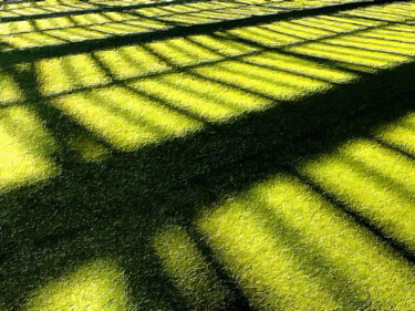 Malarstwo zatytułowany „Grass Shade Sun Abs…” autorstwa Tony Rubino, Oryginalna praca, Akryl Zamontowany na Drewniana rama n…
