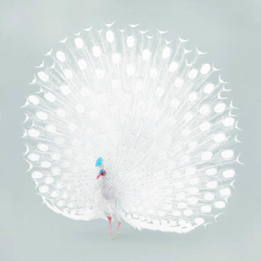 Pintura titulada "White peacock vinta…" por Tony Rubino, Obra de arte original, Acrílico Montado en Bastidor de camilla de m…