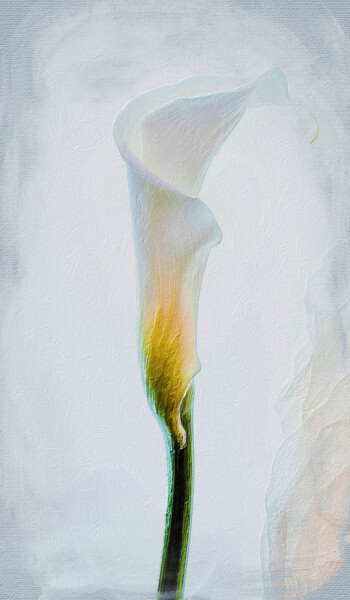 Pittura intitolato "Lilac Flower Flower…" da Tony Rubino, Opera d'arte originale, Acrilico Montato su Telaio per barella in…