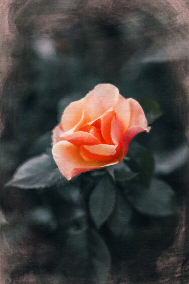 Malerei mit dem Titel "Pink Rose Painting" von Tony Rubino, Original-Kunstwerk, Acryl Auf Keilrahmen aus Holz montiert