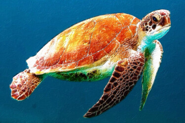 Картина под названием "Realistic Sea Turtl…" - Tony Rubino, Подлинное произведение искусства, Акрил Установлен на Деревянная…