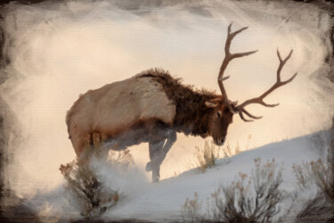 Painting titled "Elk Deer Bull Mount…" by Tony Rubino, Original Artwork, Acrylic Mounted on Wood Stretcher frame