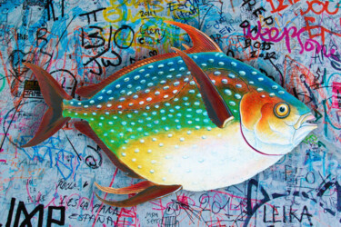 Painting titled "Opah (Lampris gutta…" by Tony Rubino, Original Artwork, Acrylic Mounted on Wood Stretcher frame