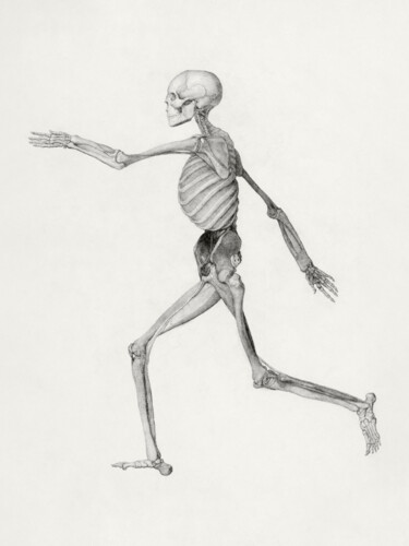 Pintura intitulada "Skeleton Drawing" por Tony Rubino, Obras de arte originais, Acrílico Montado em Armação em madeira