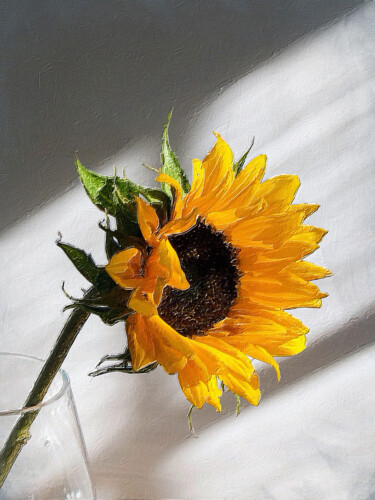 제목이 "Sunflower And Light"인 미술작품 Tony Rubino로, 원작, 아크릴 나무 들것 프레임에 장착됨
